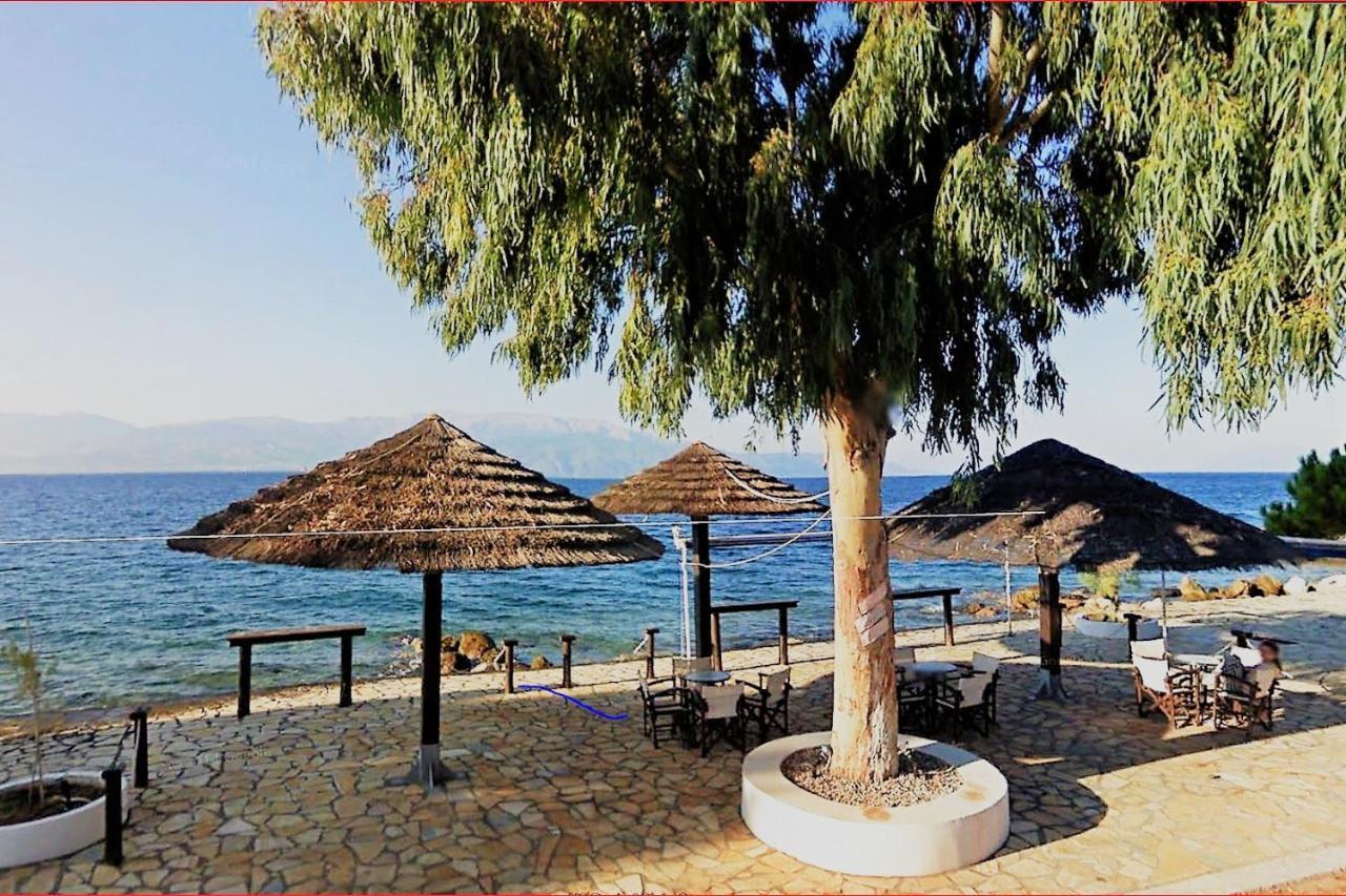 Steinturm Mit Dach-Terrasse Zwischen Fluss, Meer Und Gebirge- Spiti Pirgos Paralia Sergoulas Dış mekan fotoğraf